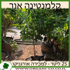 קלמנטינה אור 25 ליטר למכירה - מחיר