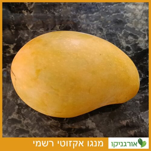 מנגו אקזוטי רשמי - למכירה - מחיר