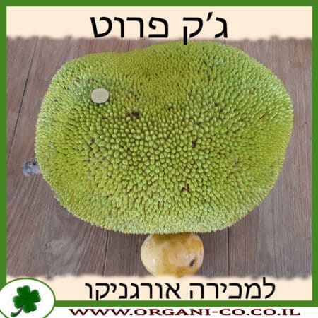 ג'ק פרוט למכירה - מחיר