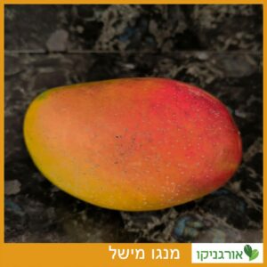 מנגו מישל - גידול - שימור זני מנגו