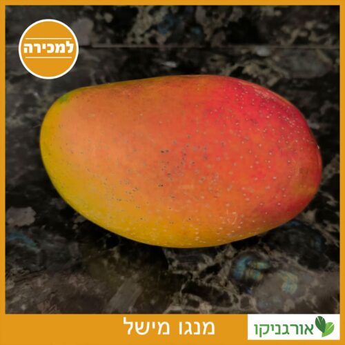 מנגו מישל למכירה - מחיר