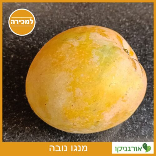 מנגו נובה למכירה - מחיר