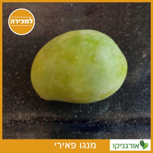 מנגו פאירי - למכירה - מחיר