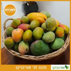 מנגו זני אורגניקו