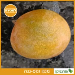 מנגו ונוס-נגה