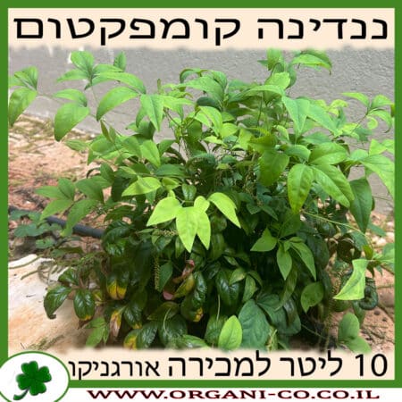 ננדינה קומפקטום 10 ליטר למכירה - מחיר